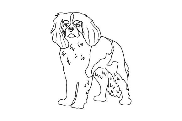 Cavalier Dog Crafts & Coloring Pages Adult Review