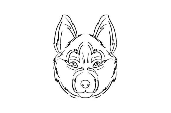 Husky Dog: Crafts & Coloring Pages Adult Review